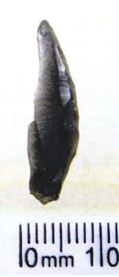 lamă; Microlamelle retouchee
