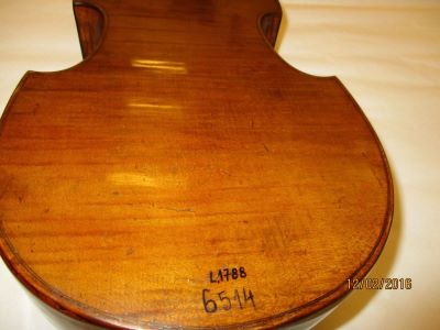 violă; Viola d'amore