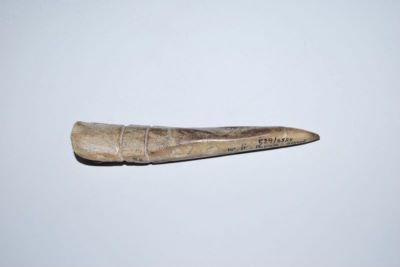 împungător