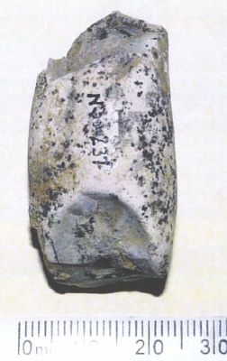 Nodul