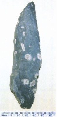 lamă; Lame appointée