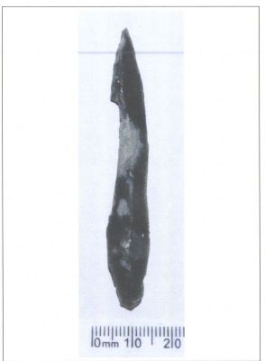 vârf; Pointe à cran