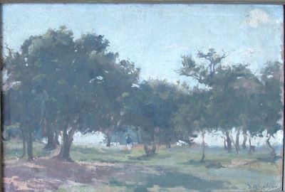 Pictură de șevalet - Mihăilescu, Dimitrie; Pădurice