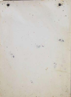 Fotografie Portret, Mihai Eminescu - 37 ani.