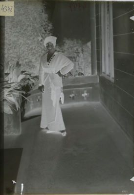 Clișeu pe sticlă; Tânără pe veranda unei case