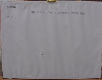 Acuarelă - Haáz, Rezső; Signum, Pedeapsă