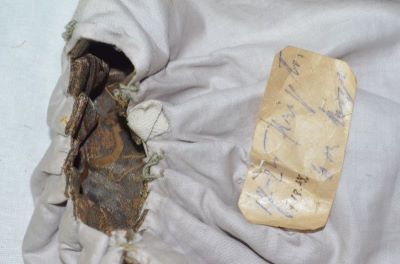 Mânecă - Necunoscut