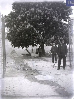 Clișeu pe sticlă; Patru bărbați în curtea unei case