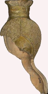 Vas antropomorf