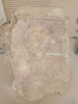 Bază de coloană; Fragment din montantul unui portal renascentist decorat cu cap de leu