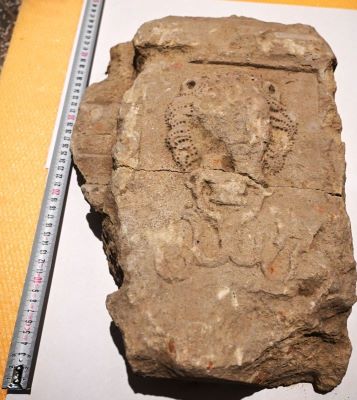 Bază de coloană; Fragment din montantul unui portal renascentist decorat cu cap de leu