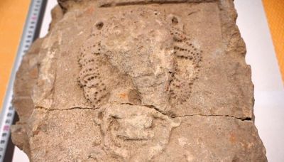 Bază de coloană; Fragment din montantul unui portal renascentist decorat cu cap de leu