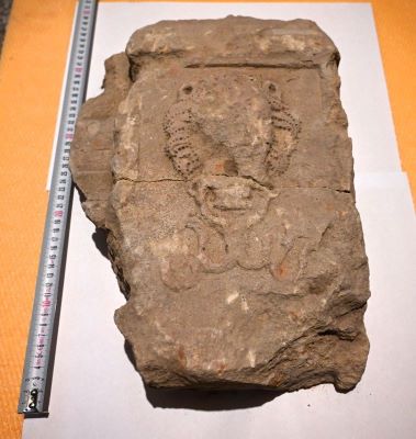 Bază de coloană; Fragment din montantul unui portal renascentist decorat cu cap de leu