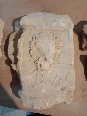 Bază de coloană; Fragment din montantul unui portal renascentist decorat cu cap de leu