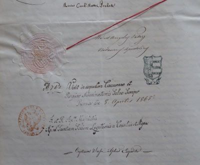 Diplomă - Cancelaria Papală; Diploma papei Pius IX, în care întărește numirea lui Fogarasy Mihály în funcția de episcop de Transilvania