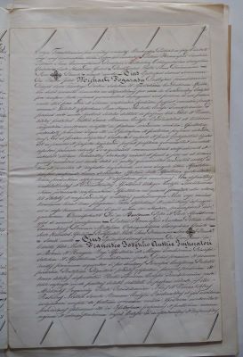 Diplomă - Cancelaria Papală; Diploma papei Pius IX, în care întărește numirea lui Fogarasy Mihály în funcția de episcop de Transilvania