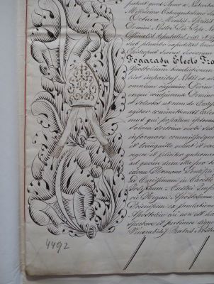 Diplomă - Cancelaria Papală; Diploma papei Pius IX, în care întărește numirea lui Fogarasy Mihály în funcția de episcop de Transilvania