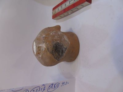 Vas ceramic