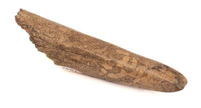 Daltă