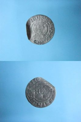 poltură 1625