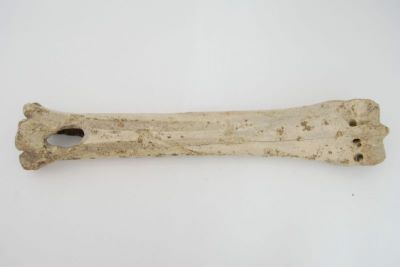 patină