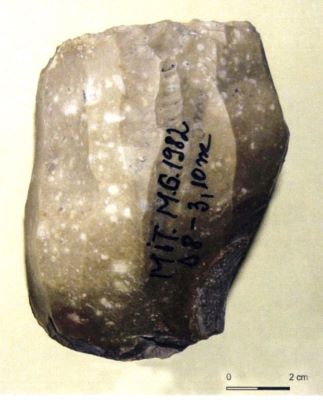 Nucleus