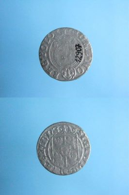 poltură 1624