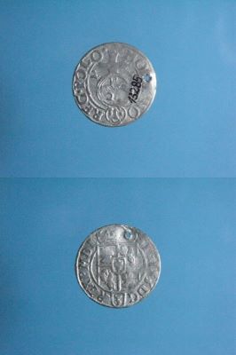 poltură 1623