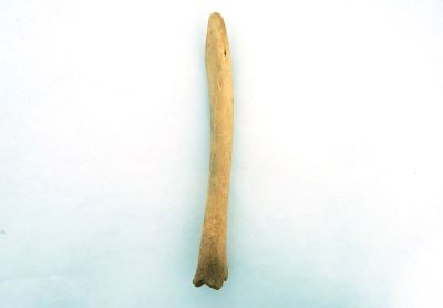 spatulă