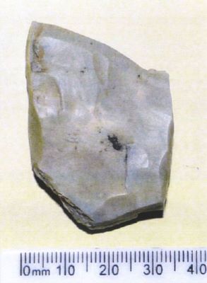 Burin caréné