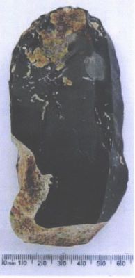 Nucleus à lame
