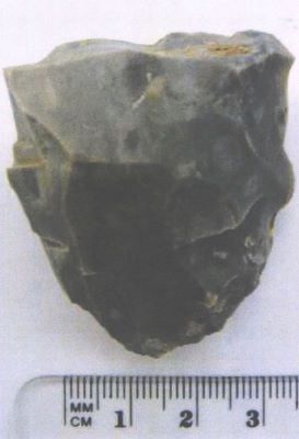 Nucleu lamelles