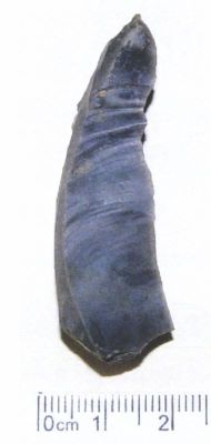lamă; Perçoir sur lame