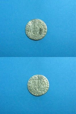poltură 1624